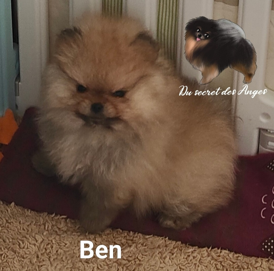 Ben Affleck